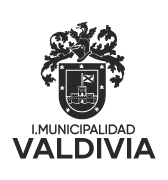 Ilustre Municipalidad de Valdivia